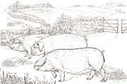 Eco pig farm, an Object Graphic by ArtOwl (Thumbnail 4 of 7)