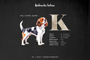 Watercolor alphabet dog breeds set, an Animal Illustration by Art and Funny (Thumbnail 4 of 5)