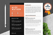 Resume/CV Bundle | 200+ for $29, a Resume Template by ResumeInventor (Thumbnail 182 of 207)