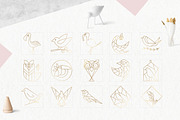 Geometric Bird Logos EPS & PNG, an Outline Icon by Pixejoo (Thumbnail 6 of 8)