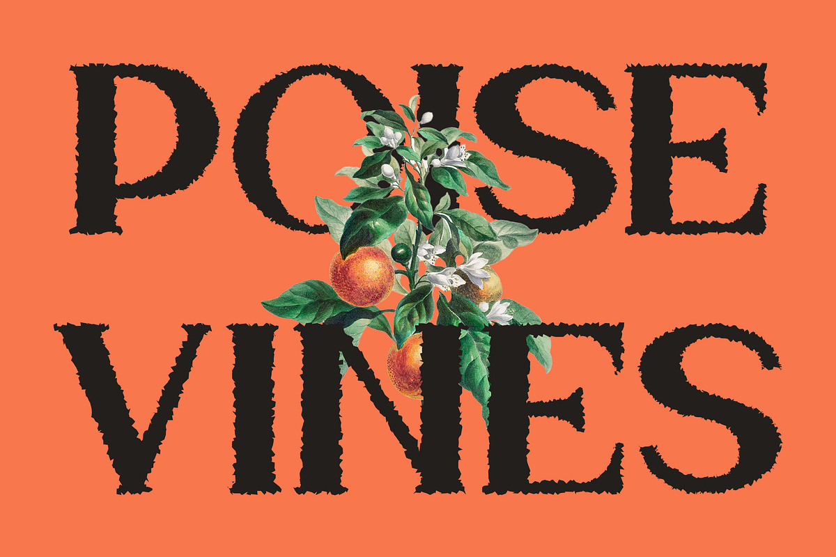 Reins Rough, a Serif Font by Craft Supply Co. (Photo 2 of 8)
