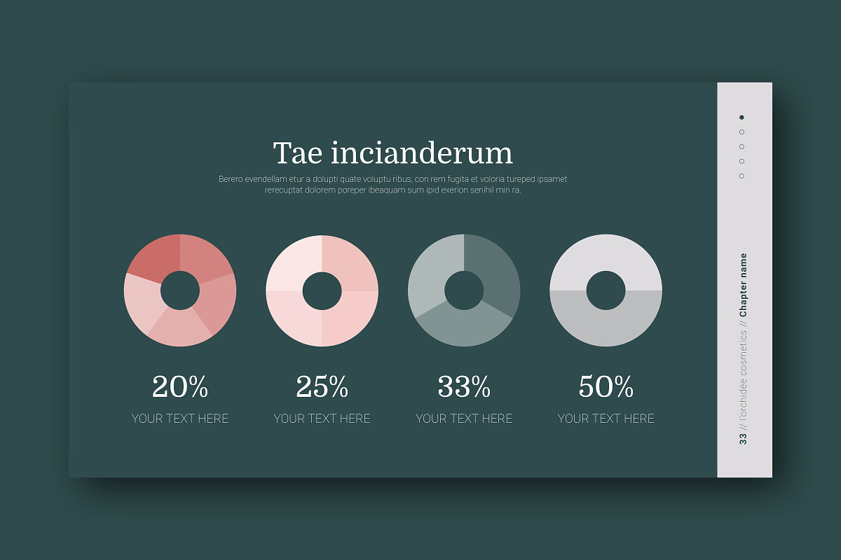 INDESIGN Slide Deck / Presentation, a Presentation Template by Galgali Design Studio (Photo 20 of 25)