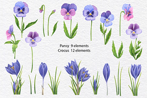 Watercolor Wild Spring Flowers Set