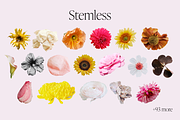 Vintage Newsprint Floral Collage Kit, an Object Graphic by Peaches Design (Thumbnail 6 of 6)