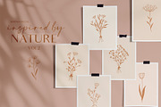 Floral Line Drawings Logo Elements, an Illustration by Kaya Fonts (Thumbnail 1 of 10)