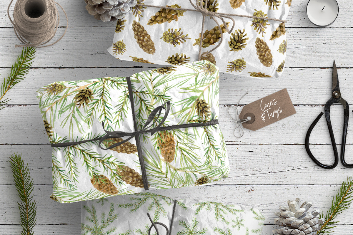 Cones & Twigs, an Illustration by OJardin (Photo 2 of 6)