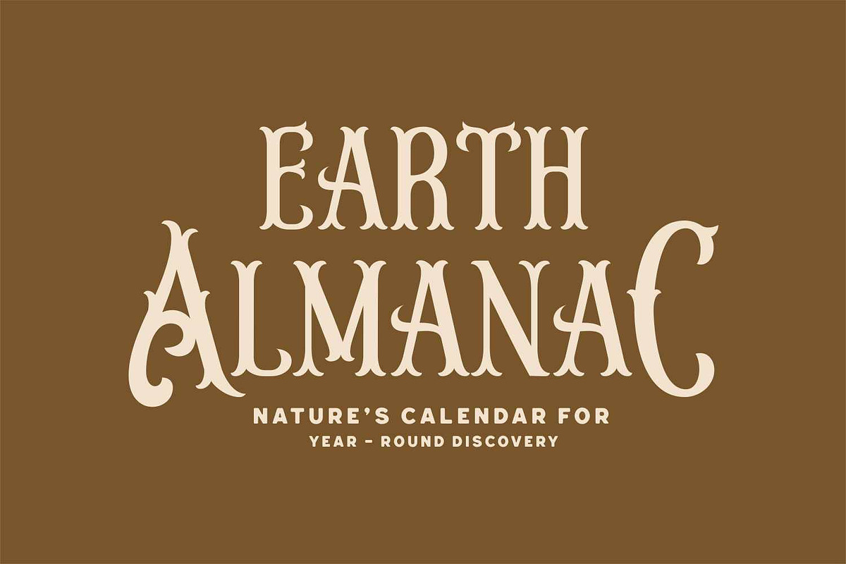 Agondav - Victorian Vintage Font, a Blackletter Font by Imoodev (Photo 2 of 5)