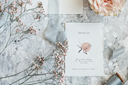 Abstract Botanical Illustrations, a Texture Illustration by Greta Ivy (Thumbnail 7 of 11)