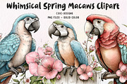 Whimsical Spring Macaws Clipart, an Illustration by CreationArt (Thumbnail 1 of 7)
