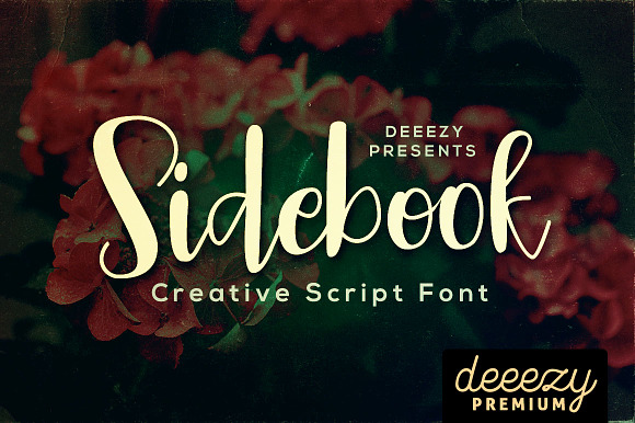 Sidebook Script Font preview 8