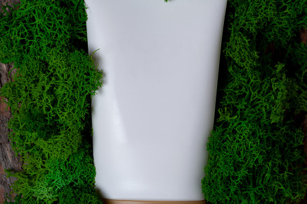 white empty tube on green moss