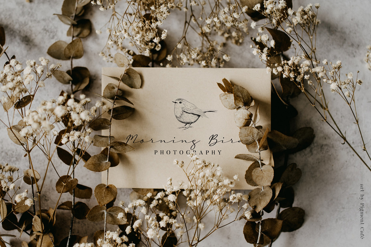 Small Birds hand drawn graphics, an Illustration by Pigment Café (Photo 4 of 4)