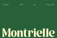 Montrielle Modern Editorial Font