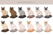 Neva Masquerade cat, an Animal Illustration by pet design shop (Thumbnail 3 of 6)
