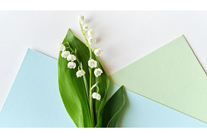 Lily of the valley flowers with, a Photo by tilialucida