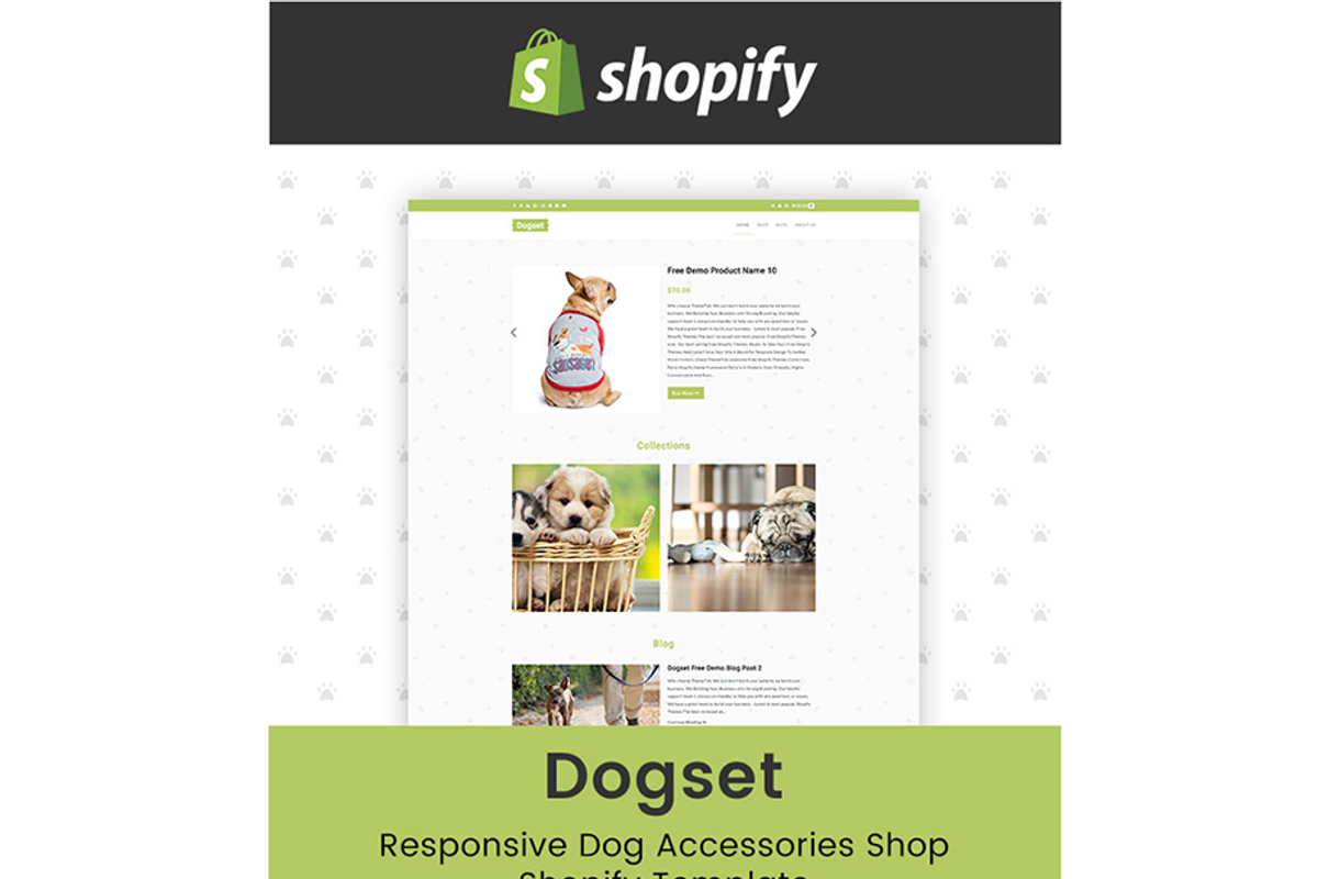 Dogset – Accessories Shopify Theme, a Shopify Template by ThemeTidy Shopify Agency (Photo 2 of 2)