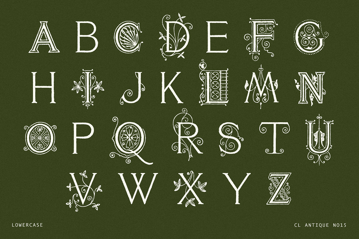 Ornate Botanical Drop Cap Font No15, a Serif Font by Century Library (Photo 3 of 5)