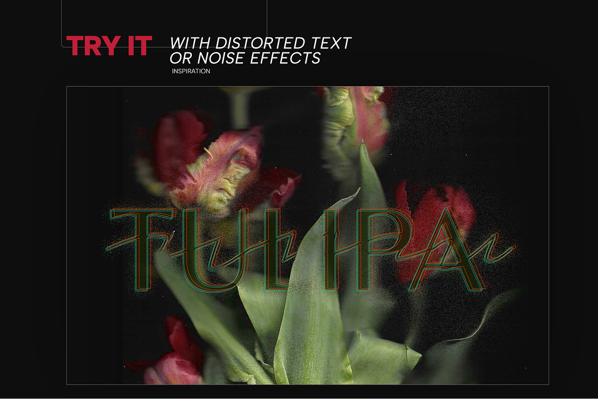Scanned Tulip Photocopies, a Graphic by Pásha (Photo 5 of 5)