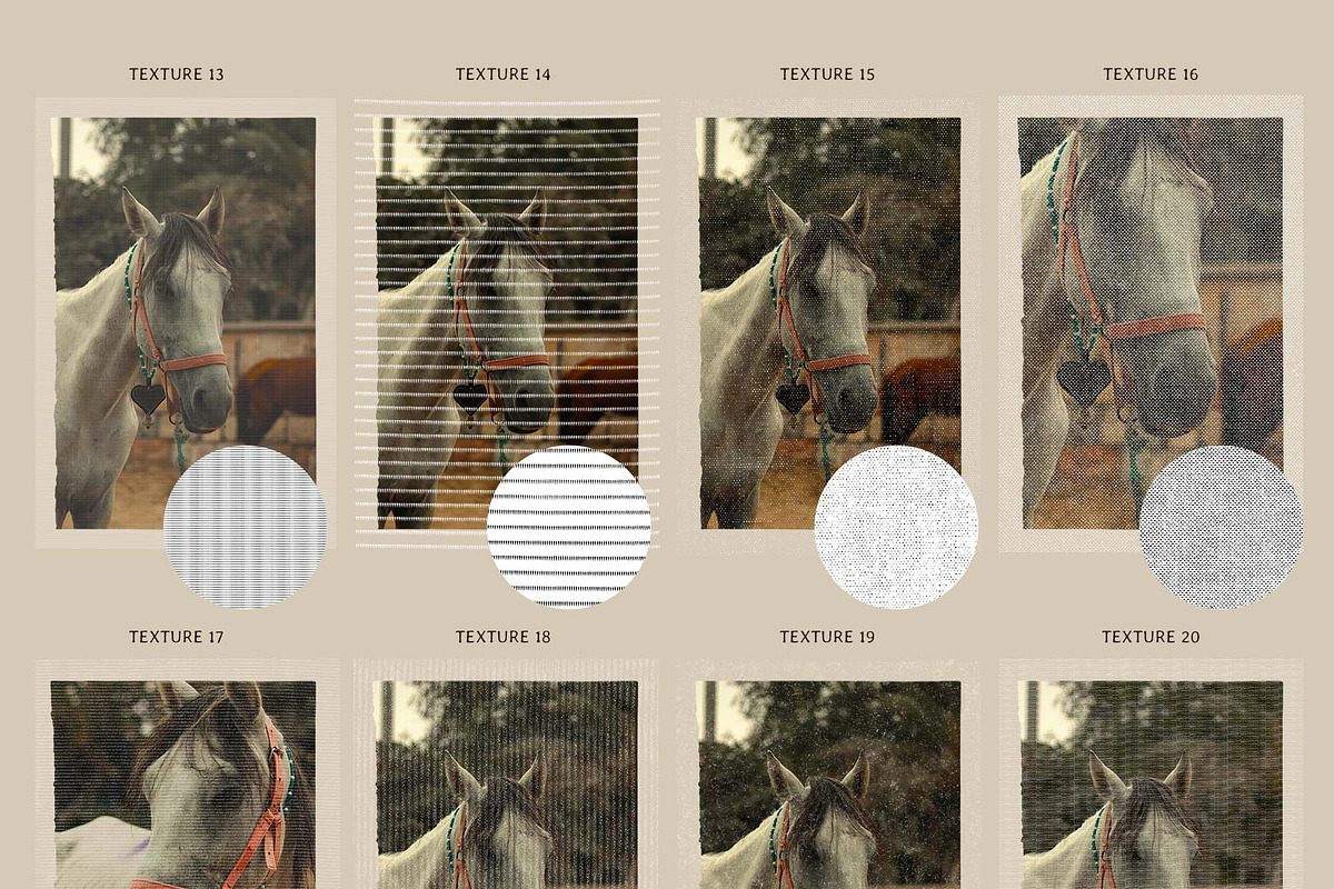 Surface Study Texture Overlays, a Texture Graphic by DigARTbyHavroshka (Photo 8 of 13)