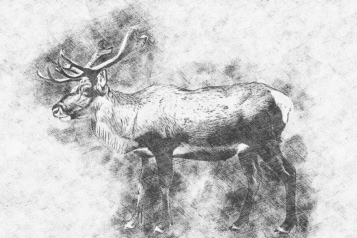 Pro Sketchy Effect, an Action Add-On by MRI STUDIO (Photo 5 of 15)