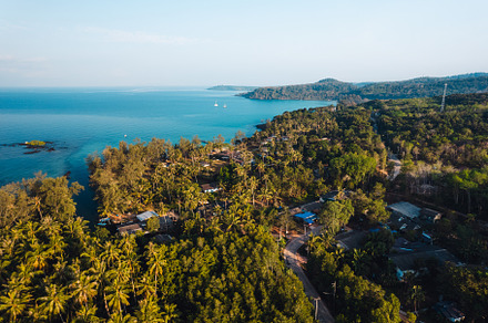 Coconut tree garden by the sea on the island, high angle view, a Nature Photo by Art Rachen