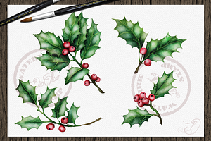 Holly Watercolor Clip Art