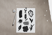 Leaves and Twigs font trio & extras, a Script Font by Ana's Fonts (Thumbnail 10 of 17)