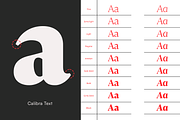 Calibra Text 18 Fonts- Save 40%, a Serif Font by Mulkan Nazir (Thumbnail 9 of 12)