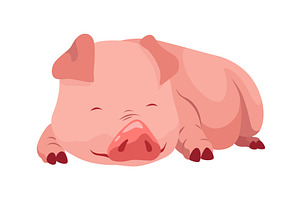 Pig set flat cartoon isolated on, an Animal Illustration by the8monkey