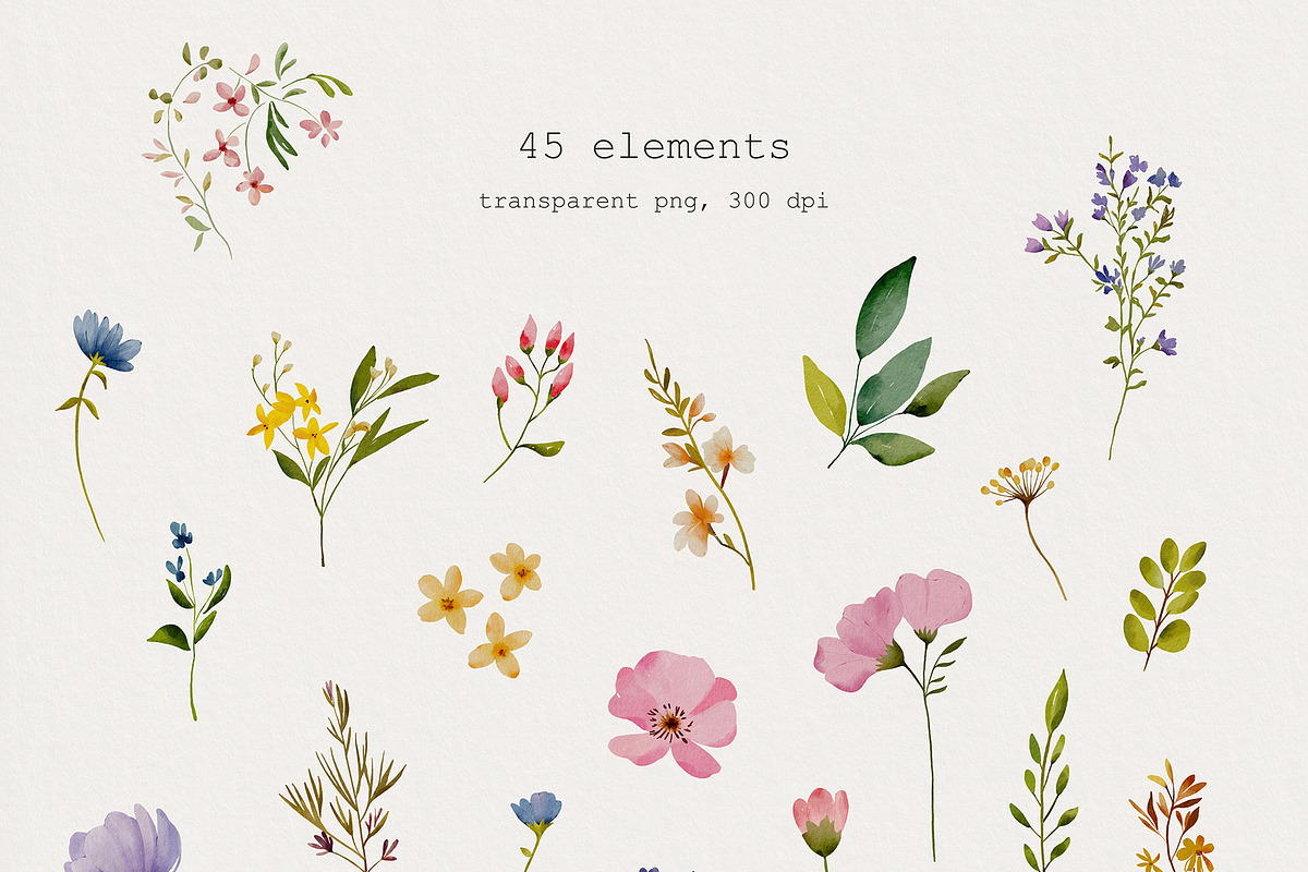 -30% Off Watercolor Wildflowers, an Object Illustration by bloomscape (Photo 2 of 5)