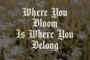 Thornville — Blackletter Display, a Blackletter Font by Creacy Studio (Thumbnail 3 of 10)