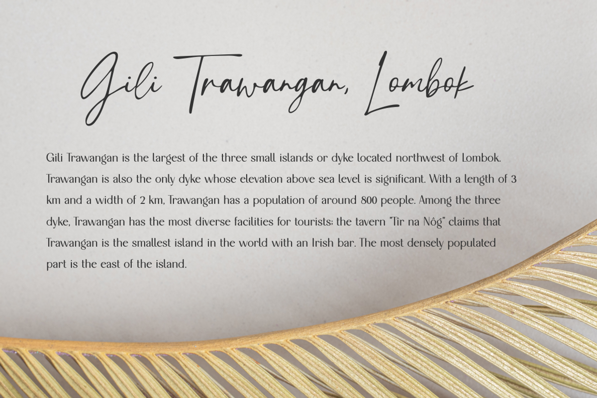 Tropical Country - Handwritten Font, a Script Font by Sronstudio (Photo 5 of 10)