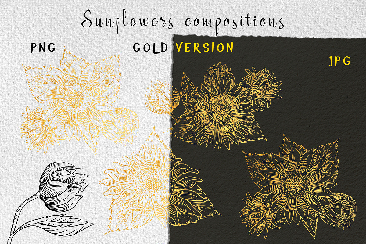Sunflower clipart collection, an Illustration by Gennadi Digital Studio (Photo 5 of 7)