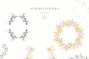 Wildflowers, an Illustration by Blossom (Thumbnail 4 of 9)