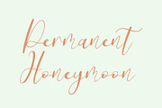 Leitucy Script Font, a Handwritten Font by Panatype™ Studio (Thumbnail 8 of 10)
