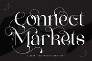 Connect Markets - Modern Serif Font, a Serif Font by 177Studio (Thumbnail 1 of 8)