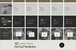 Herbalist Carousel Post Templates, a Social Media Template by Terraa Studio Design