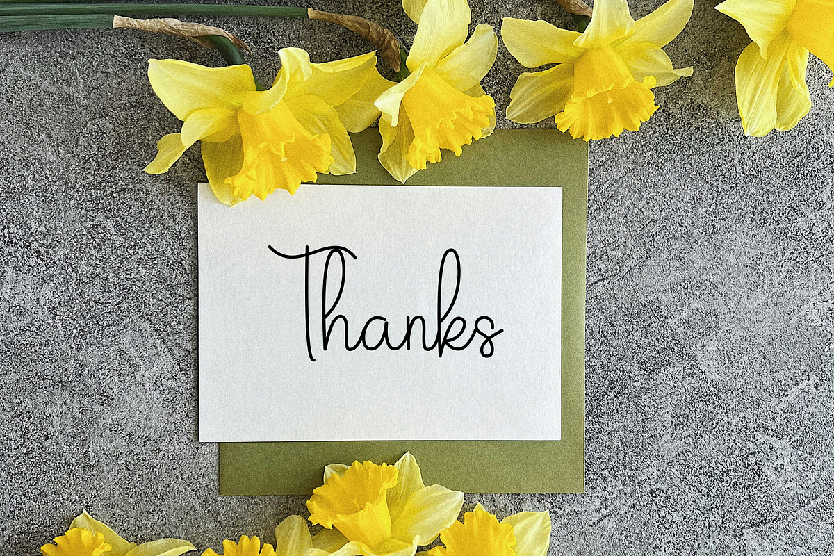 Farmhouse, a Handwritten Font by InermediaSTUDIO (Photo 4 of 8)