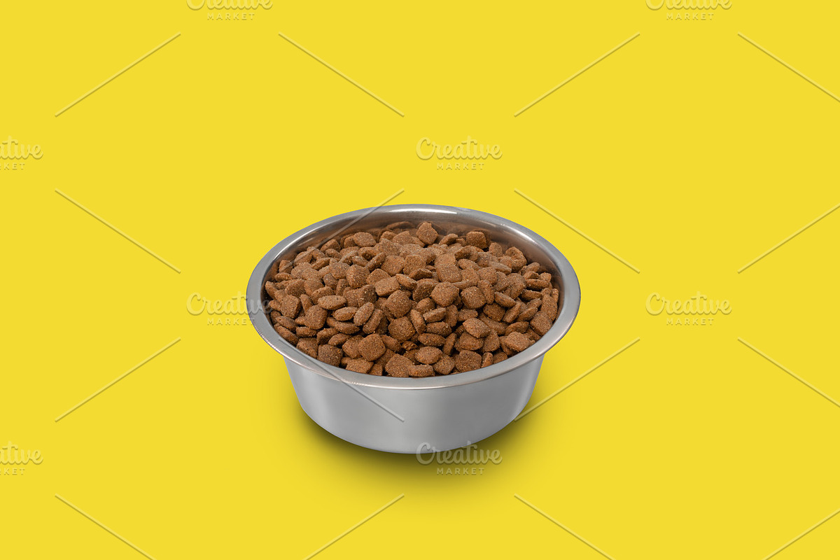 Dry pet food in bowl isolated on yellow studio background, a Photo by Prostock-Studio (Photo 1 of 2)