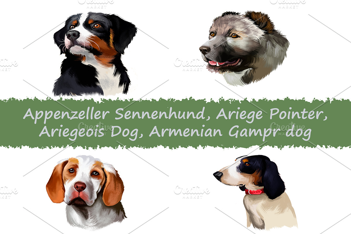 Dogs Pet Portraits Art Print Set 7, an Animal Illustration by Dneprstock (Photo 1 of 5)