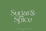 Mango Garden - Elegant Serif, a Serif Font by Misha Sova (Thumbnail 2 of 11)