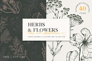 Flowers Bundle - 3 collections, an Illustration by Manimanisa (Thumbnail 13 of 16)