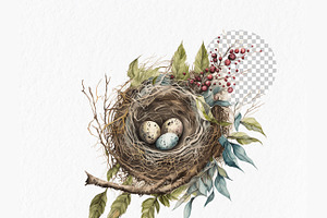 Nests Watercolor Clipart