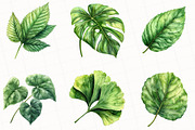Green Summer Foliage Clipart, an Illustration by OK Design (Thumbnail 3 of 5)