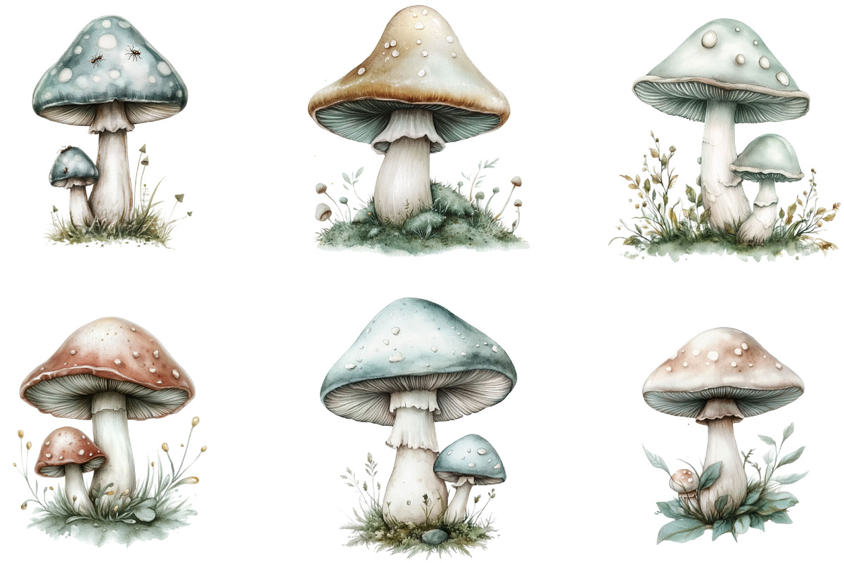Watercolor Mushroom Clipart, an Illustration by Designking (Photo 2 of 5)