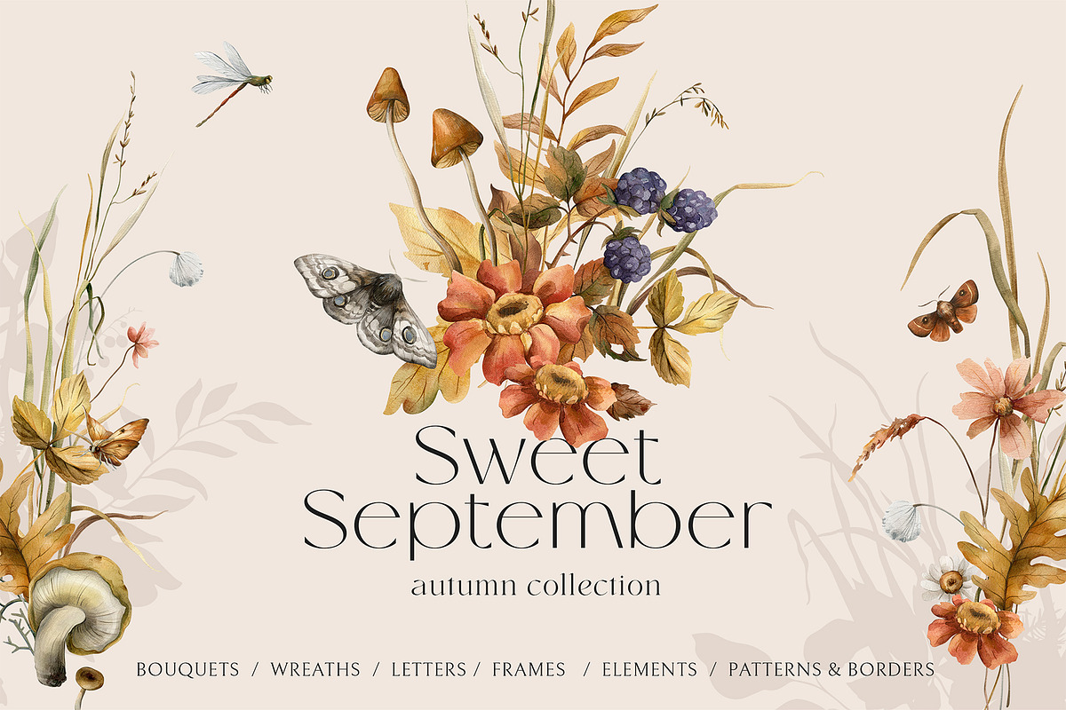 Sweet September - autumn collection, an Illustration by AleksaArt (Photo 1 of 13)