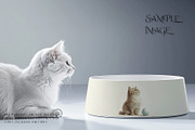 Pet Bowls PNG & PSD Mockups, a Product Mockup by mock-ups (Thumbnail 7 of 12)