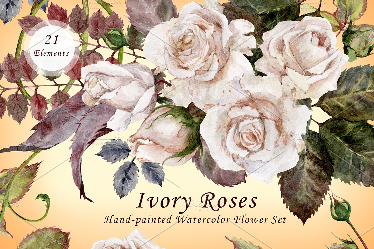Ivory Roses - Watercolor Floral Set, an Illustration by Nadiia Hanina (Photo 1 of 3)