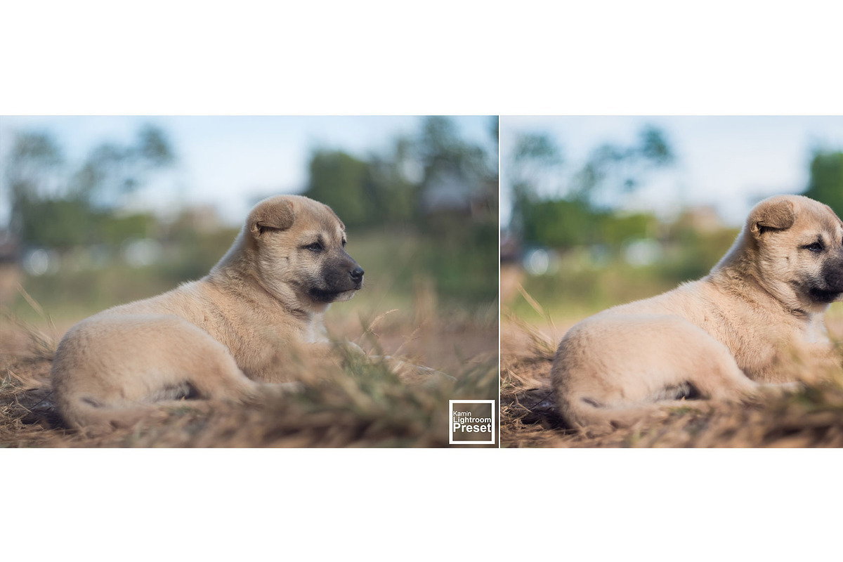 Kamin Colorful, an Action Add-On by Kamin Lightroom Preset (Photo 9 of 22)