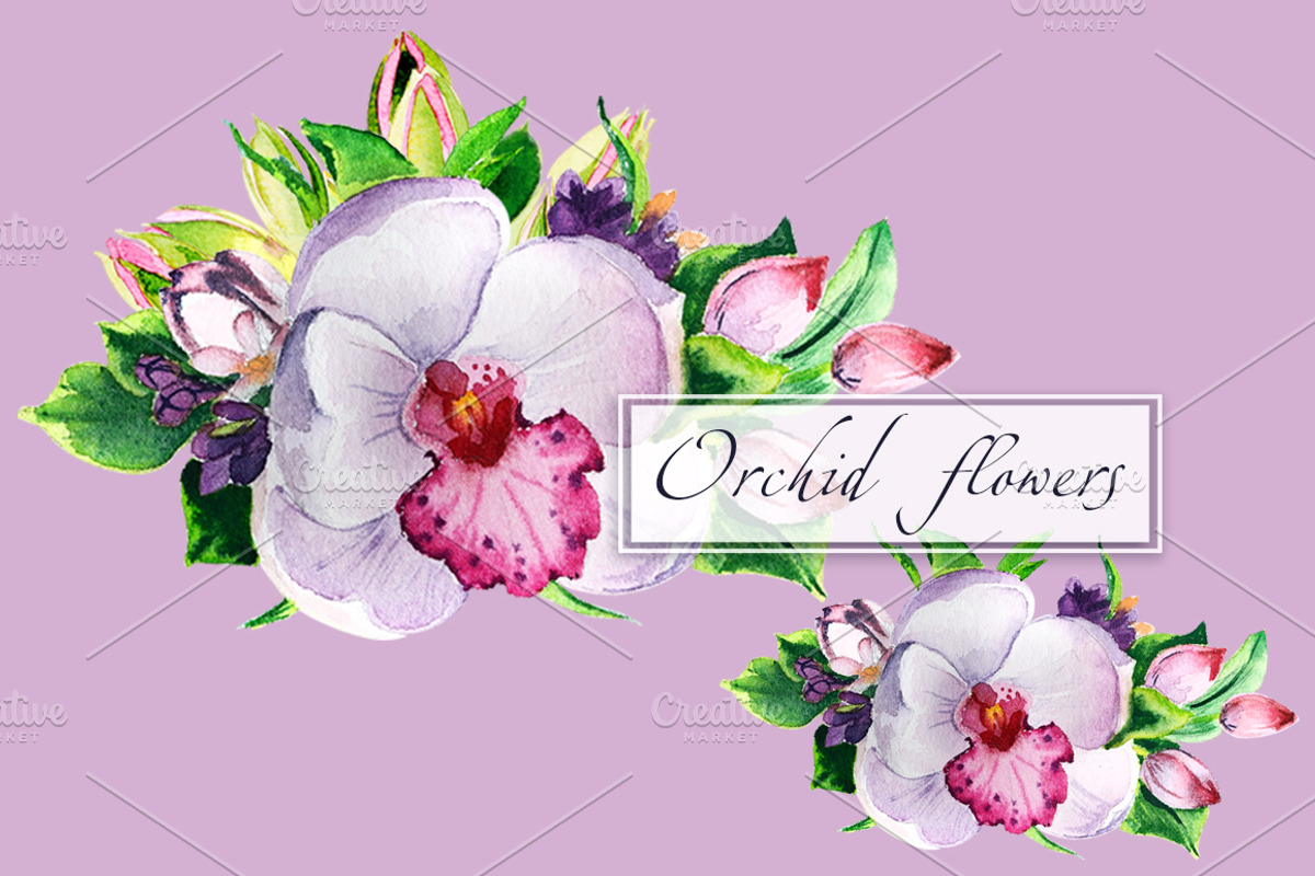 Orchid flowers watercolor, an Illustration by lilisavelieva (Photo 2 of 2)